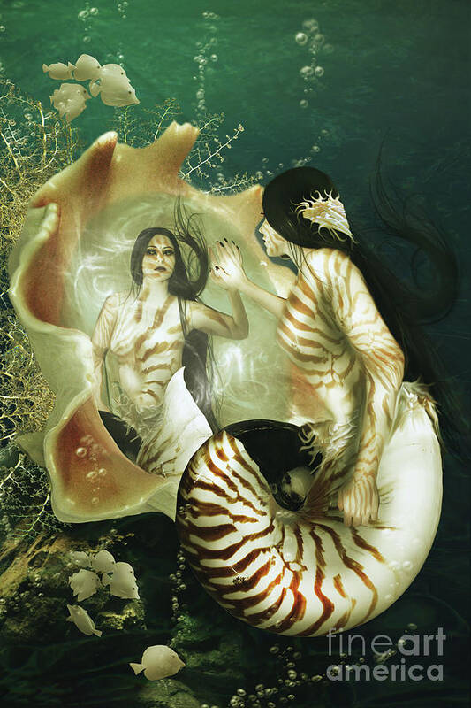 Fantasy Poster featuring the digital art Nautilus by Babette Van den Berg