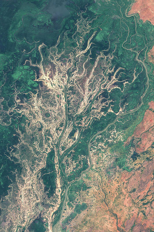 Satellite Image Poster featuring the digital art Niger river inland delta in Mali by Christian Pauschert