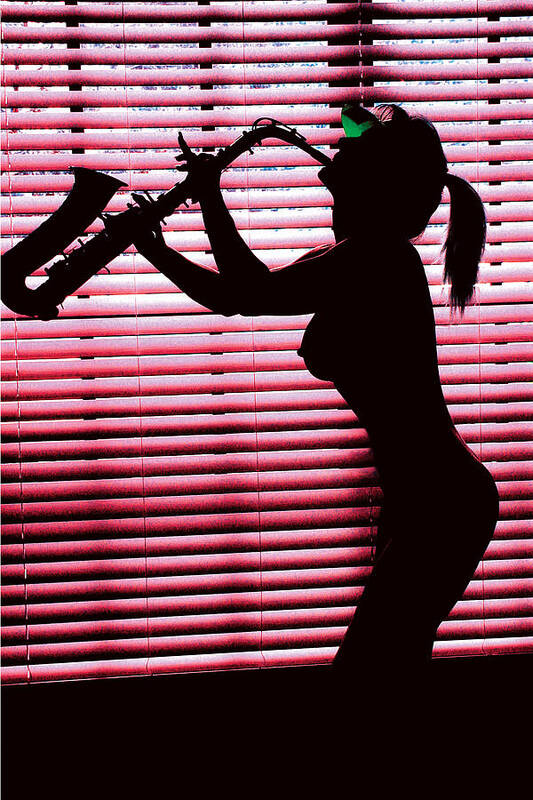 Silhouette Poster featuring the photograph Nude Red Blinds Sax Silhouette by Tom Baptist