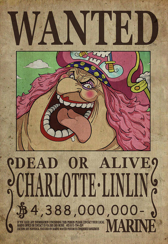 One Piece Wanted Poster - FRANKY Poster by Niklas Andersen - Fine Art  America, one piece poster 