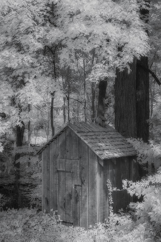 Outhouse Poster featuring the photograph Outhouse by Susan Candelario