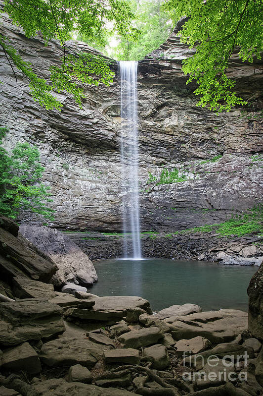 Ozone Falls Poster featuring the photograph Ozone Falls 40 by Phil Perkins