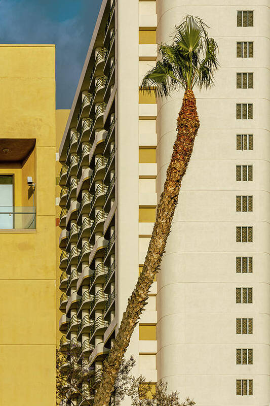 California Poster featuring the photograph Palm Tree and Art Deco by Liz Albro