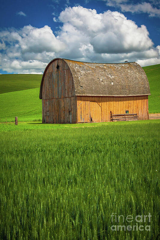 America Poster featuring the photograph Palouse Yellow Barn by Inge Johnsson