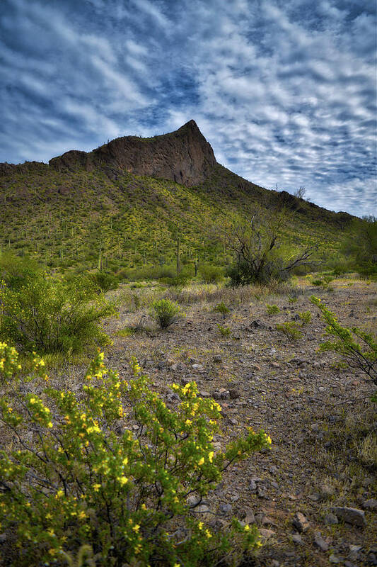 Picacho Peak Poster featuring the photograph Picacho Peak, Arizona by Chance Kafka