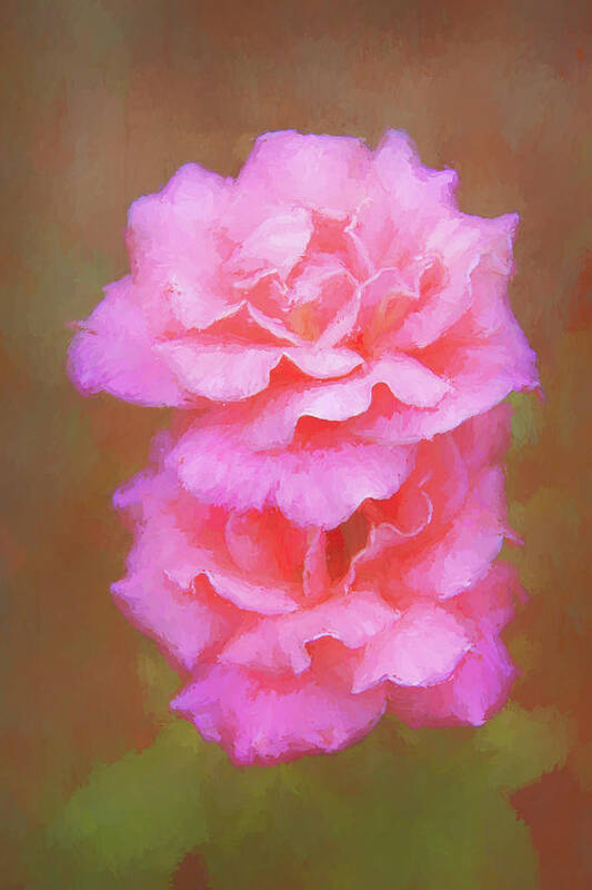 Artistic Poster featuring the photograph Pink painterly roses against a textured background by Sue Leonard