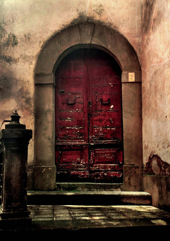 Door Poster featuring the photograph Porta Barga by Pepper Pepper