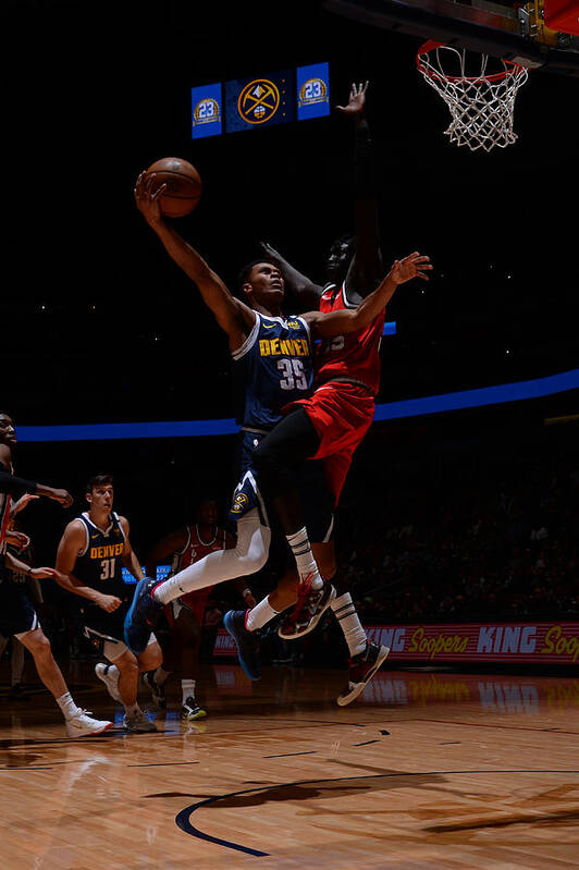 Pj Dozier Poster featuring the photograph Portland Trail Blazers v Denver Nuggets by Bart Young
