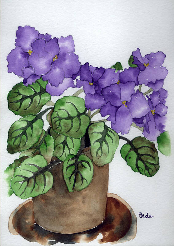 Purple Africanviolet Green Plant Flower Watercolor Poster featuring the painting Purple Days by Catherine Bede