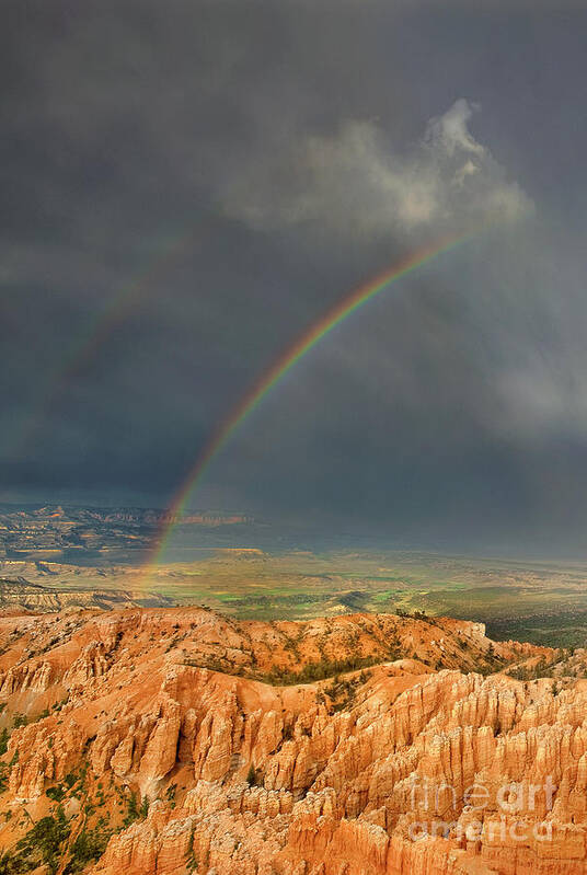Dave Welling Poster featuring the photograph Rainbow-hoodoos Bryce Canyon National Park Utah by Dave Welling
