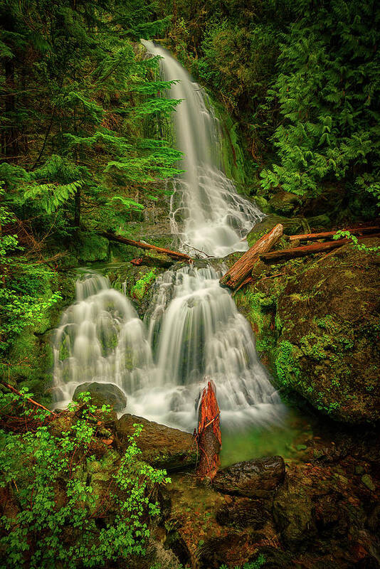 Mount Rainier National Park Poster featuring the photograph Rainier Falls Creek Falls by Dan Mihai