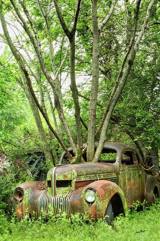 1937 Chrysler Imperial Poster featuring the photograph Reclaimed By Nature by Jurgen Lorenzen