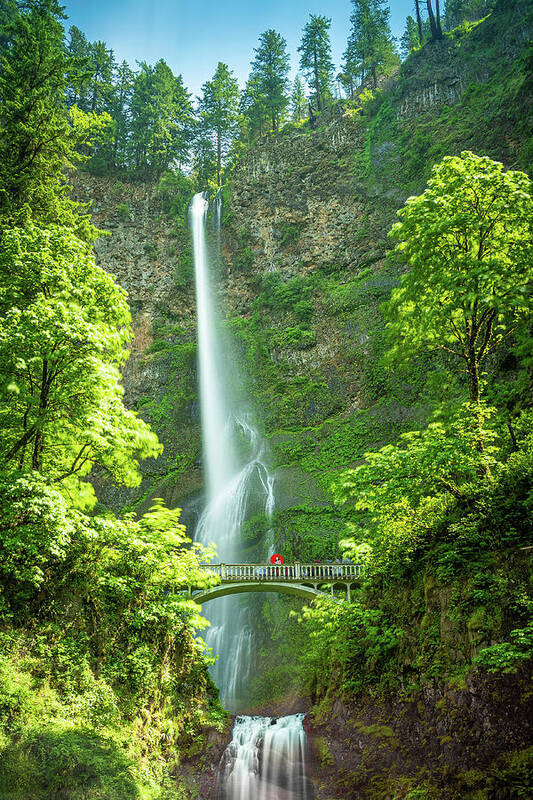 Multnomah Falls Poster featuring the photograph Red Umbrella Under the Multnomah Falls by Erin K Images
