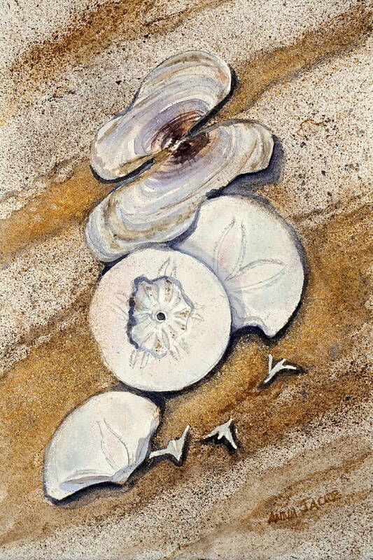 Shells Poster featuring the painting Remnants by Anna Jacke
