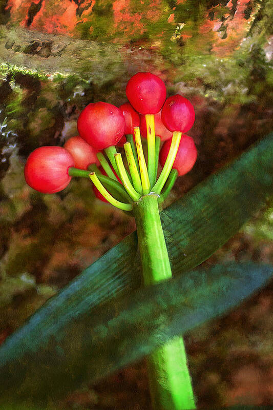 Painting Poster featuring the painting Rhodea Japonica by Anthony M Davis