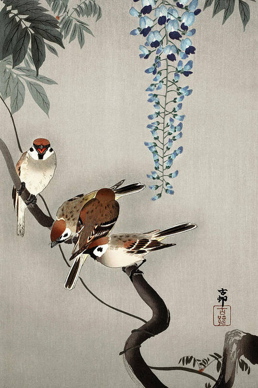 Birds Poster featuring the painting Ring sparrows at wisteria by Ohara Koson