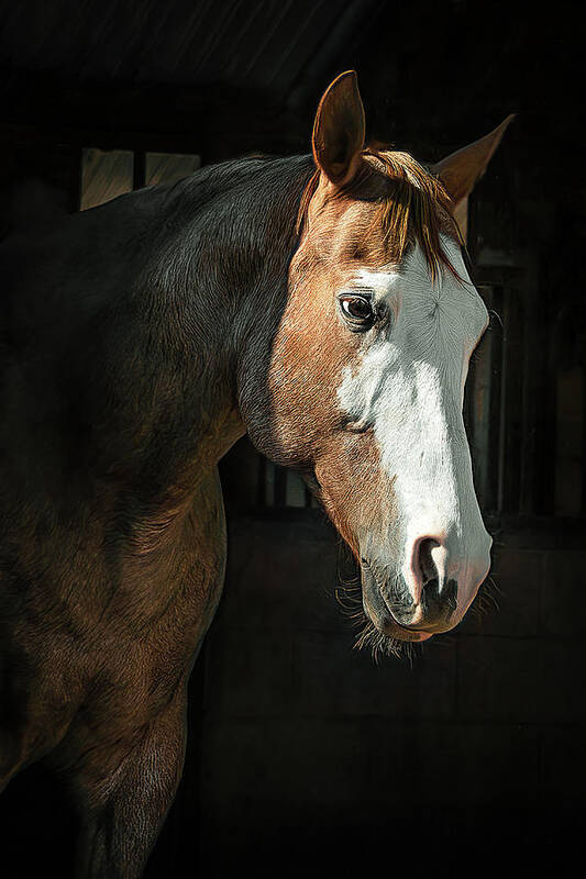 Horse Poster featuring the digital art River by Sandra Nesbit