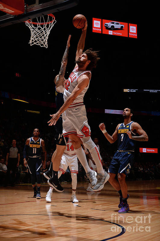 Robin Lopez Poster featuring the photograph Robin Lopez by Bart Young
