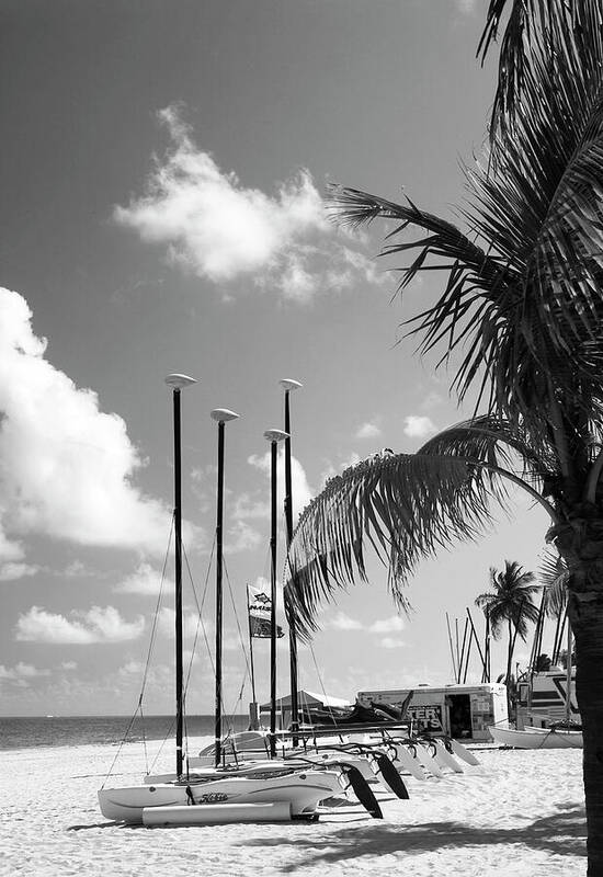 Row Of Sailboats On Beach Photo Poster featuring the photograph Row of Sailboats BW by Bob Pardue