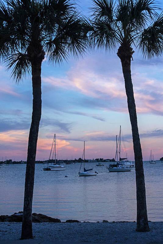 Sarasota Poster featuring the photograph Sarasota FL Bayfront Park Sunset Florida Boats by Toby McGuire