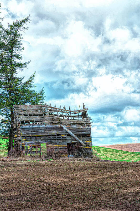Barn Poster featuring the photograph See Through Old Barn by Pamela Dunn-Parrish