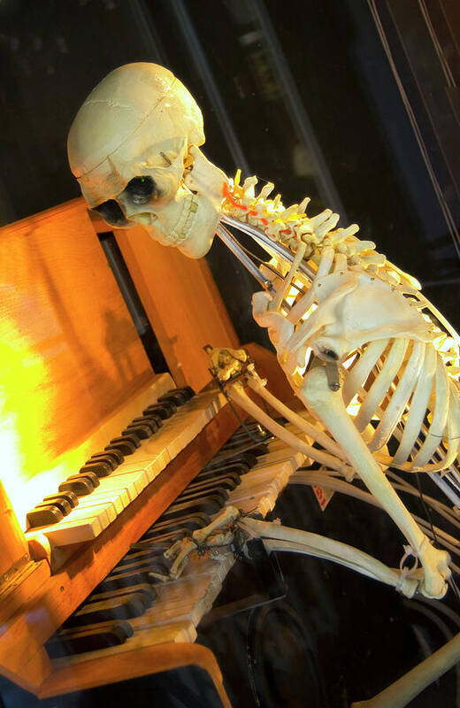 Skeleton Plays Piano Photo Poster featuring the photograph Skeleton Plays Piano by Bob Pardue