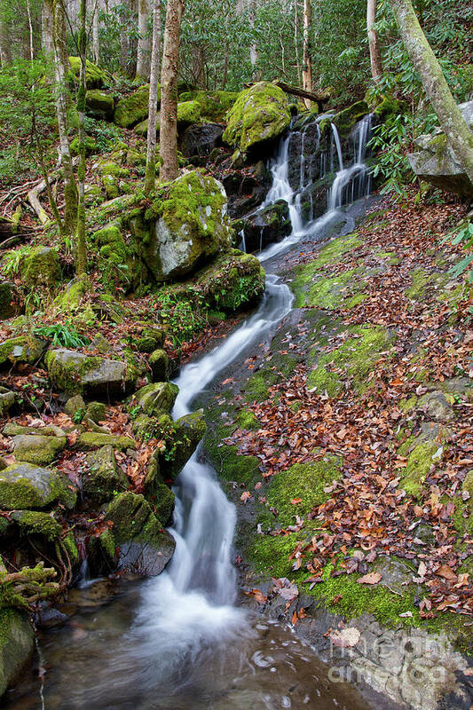 Tennessee Poster featuring the photograph Small Waterfall In Forest by Phil Perkins