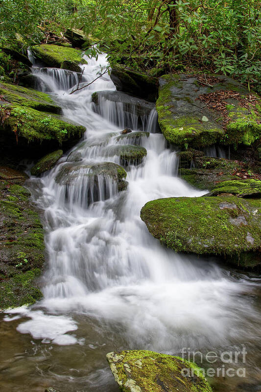 Little River Poster featuring the photograph Small Waterfalls 6 by Phil Perkins