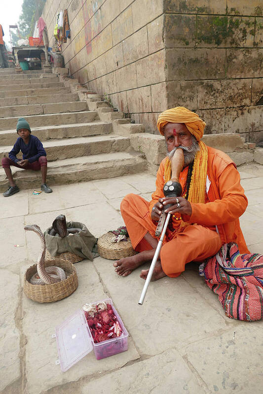 Scary Poster featuring the photograph Snake charmer with his snakes by Steve Estvanik