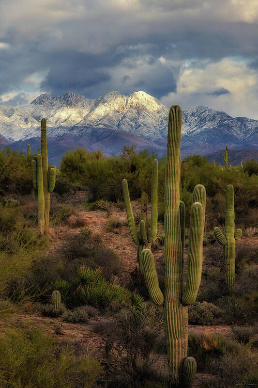Art Poster featuring the photograph Snowcapped Four Peaks by Rick Furmanek
