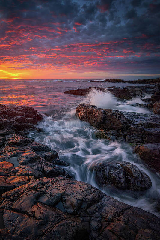 Maine Poster featuring the photograph Spring Sunrise at Marginal Way by Kristen Wilkinson