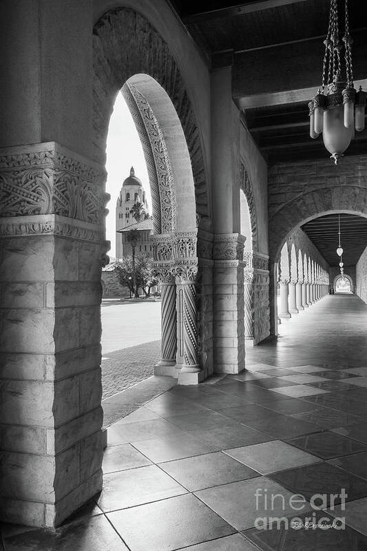 California Poster featuring the photograph Stanford University Main Quad Walkway by University Icons