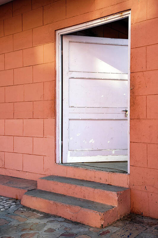 Steps Poster featuring the photograph Steps to the Door by Prakash Ghai