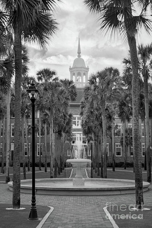 Stetson University Poster featuring the photograph Stetson University Palm Court Fountain by University Icons