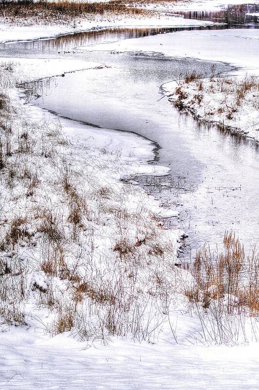  Stream Poster featuring the photograph Stream in Winter by Randy Pollard