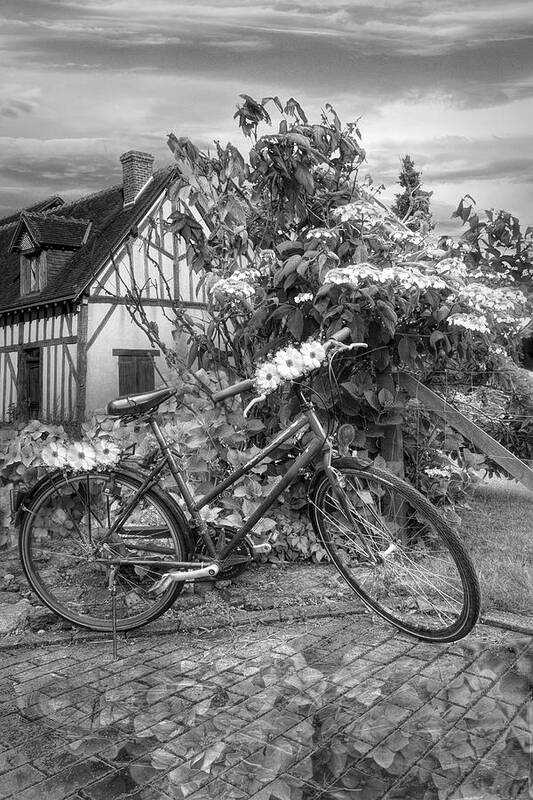 Barns Poster featuring the photograph Summer Cycling in Flowers Black and White by Debra and Dave Vanderlaan
