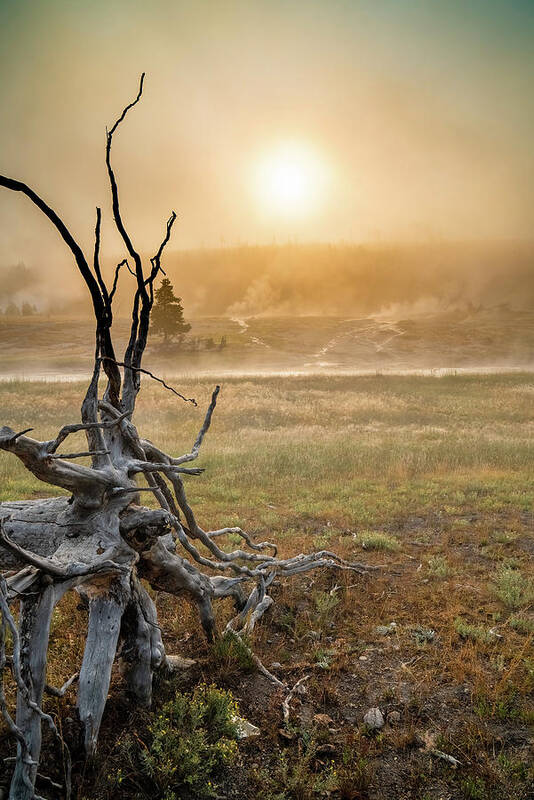 Yellowstone Poster featuring the photograph A Yellowstone Sunrise by Gary Felton