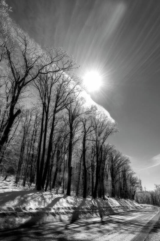 Snow Poster featuring the photograph Sun striking tree branches with ice on limbs - BW by Dan Friend
