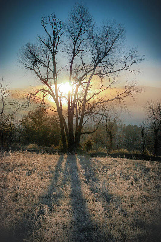 Art Prints Poster featuring the photograph Sunrise in Cades Cove by Nunweiler Photography