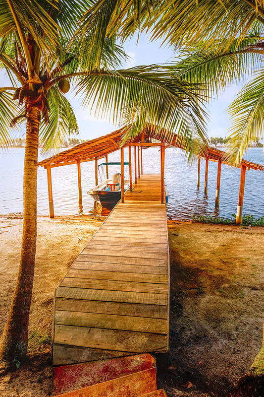 African Poster featuring the photograph Swaying Palms Over the Dock by Debra and Dave Vanderlaan