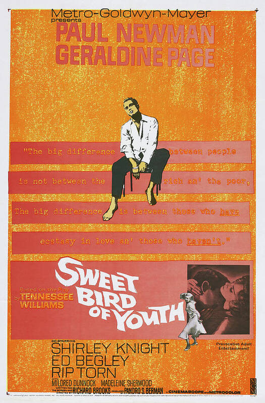 Sweet Poster featuring the mixed media ''Sweet Bird of Youth'', 1962 by Movie World Posters