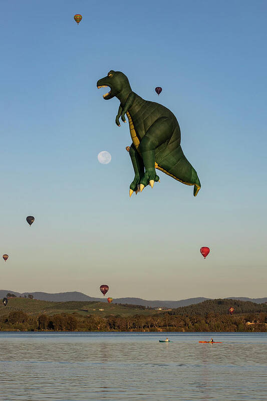 Canberra Poster featuring the photograph T-Rex by Ari Rex