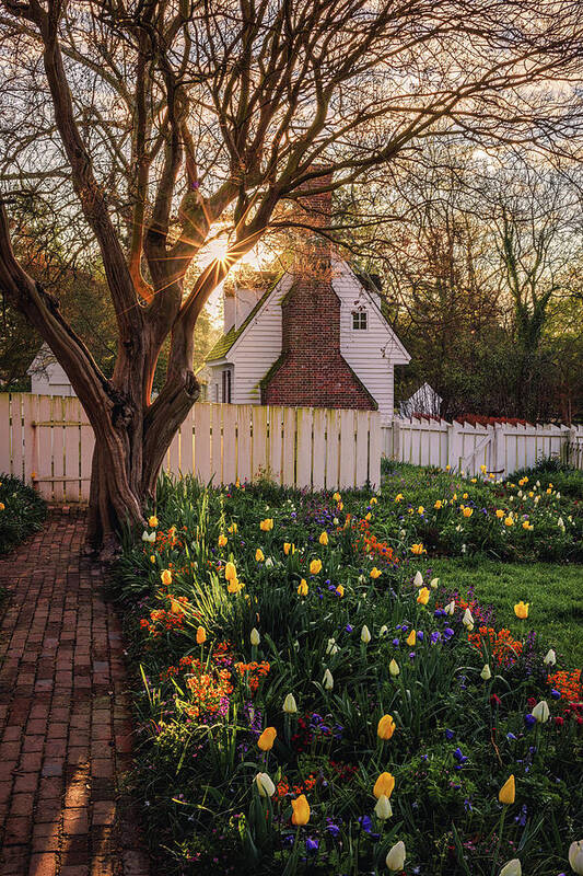 Colonial Williamsburg Poster featuring the photograph Taliaferro-Cole Garden in Early Spring by Rachel Morrison