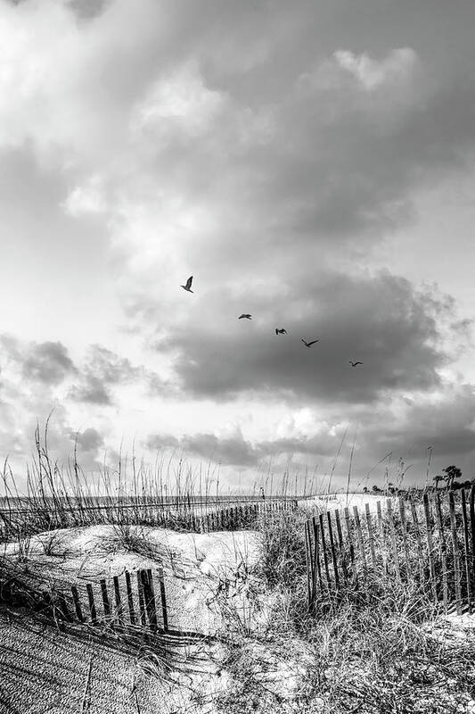 Black Poster featuring the photograph Tall Clouds over the Dunes Black and White by Debra and Dave Vanderlaan