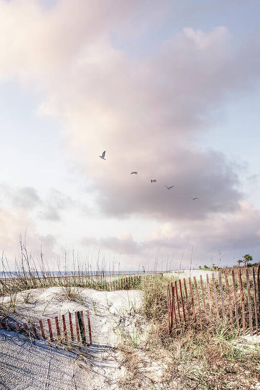 Fence Poster featuring the photograph Tall Clouds over the Dunes Pale Tones by Debra and Dave Vanderlaan