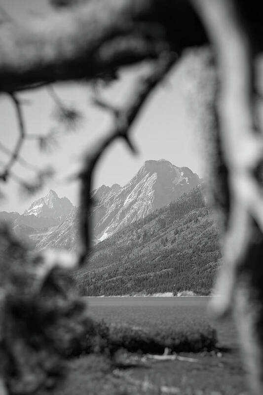 Mountain Poster featuring the photograph Teton in the Black and White by Go and Flow Photos
