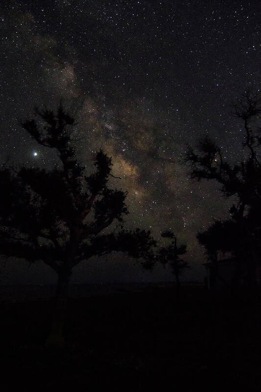 Milky Way Poster featuring the photograph The Milky Way and Tree Silhouettes by Bob Decker