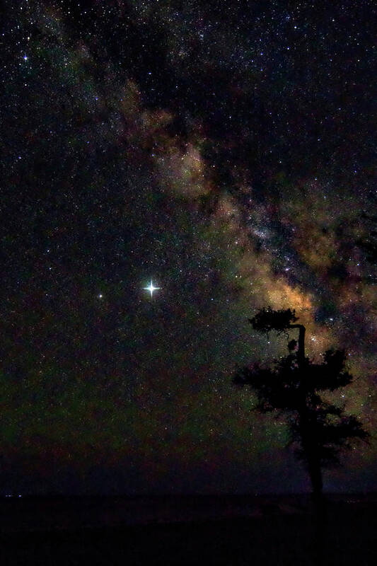 Milkyway Poster featuring the photograph The Milkyway Behind a Lone Tree on the North Carolina Coast by Bob Decker