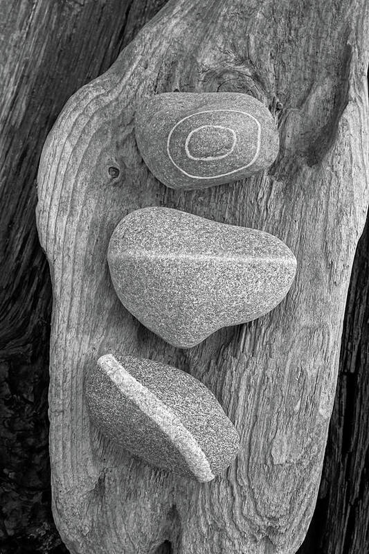 Stones Poster featuring the photograph Three Amigos Over Driftwood Black and White by Kathi Mirto
