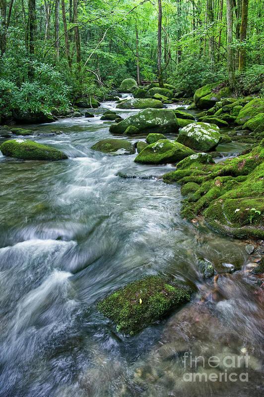 Smoky Mountains Poster featuring the photograph Thunderhead Prong 19 by Phil Perkins